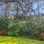 Peaceful Getaway In Forested Park