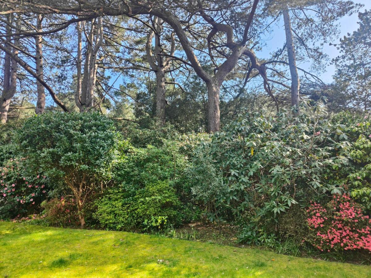 Peaceful Getaway In Forested Park Apartment Bournemouth