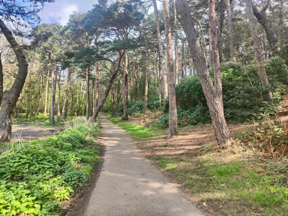 Apartment Peaceful Getaway In Forested Park