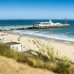 Daintree - Bournemouth