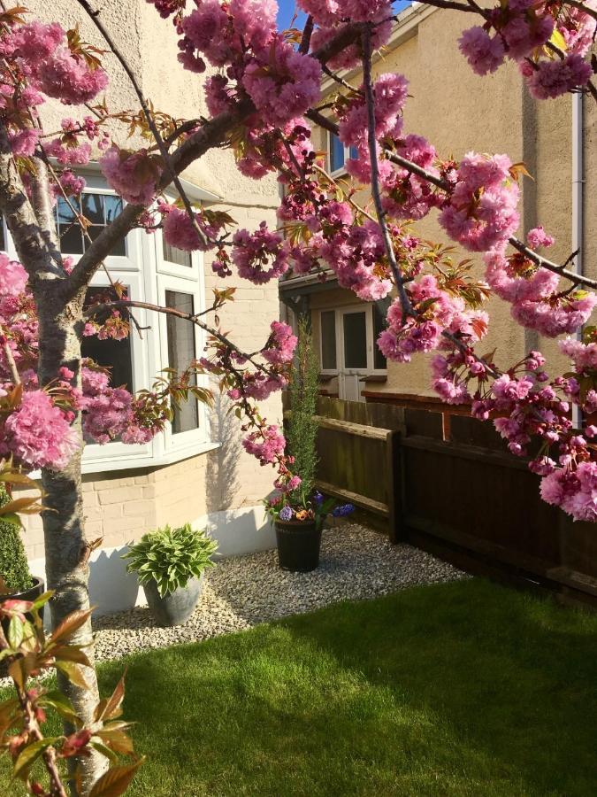 Bed & Breakfast Cherry Tree House *