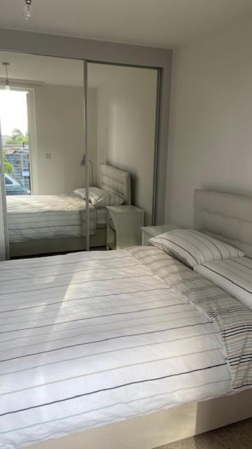 Apartment Modern Flat With Balcony & Free Parking On-site