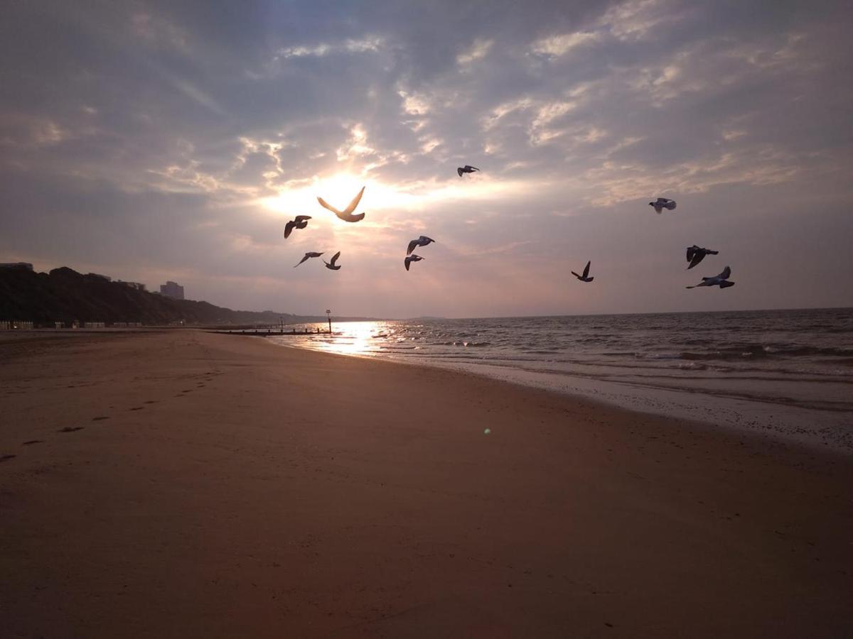 Beachside Family Oasis With Free Parking Apartment Bournemouth