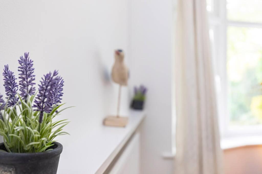 Holiday home Elmsway - Southbourne Bournemouth