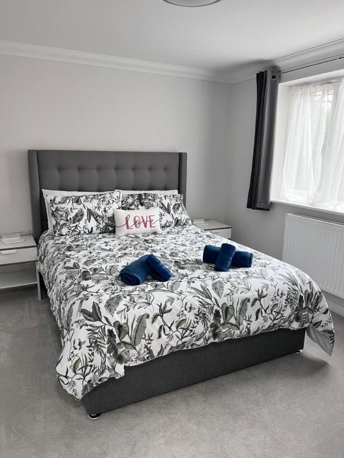 Apartment Stylish