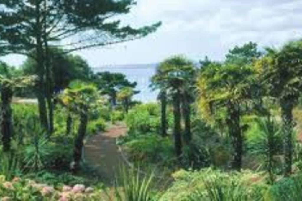 Lovely Central Flat 10 Minute To Beach Apartment *