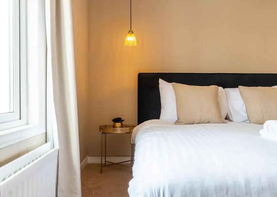 Modern & Comfortable Urban