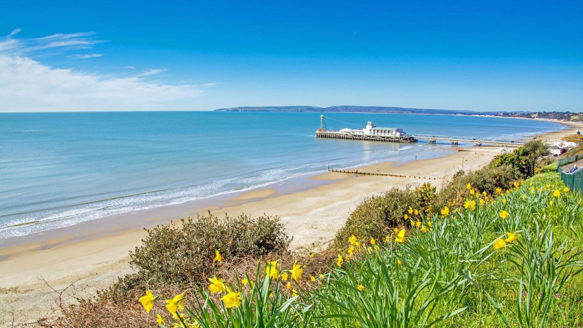 Coastal Vibes - Stunning With King Size Bed And Free Parking - Central Location And Close To Beach *