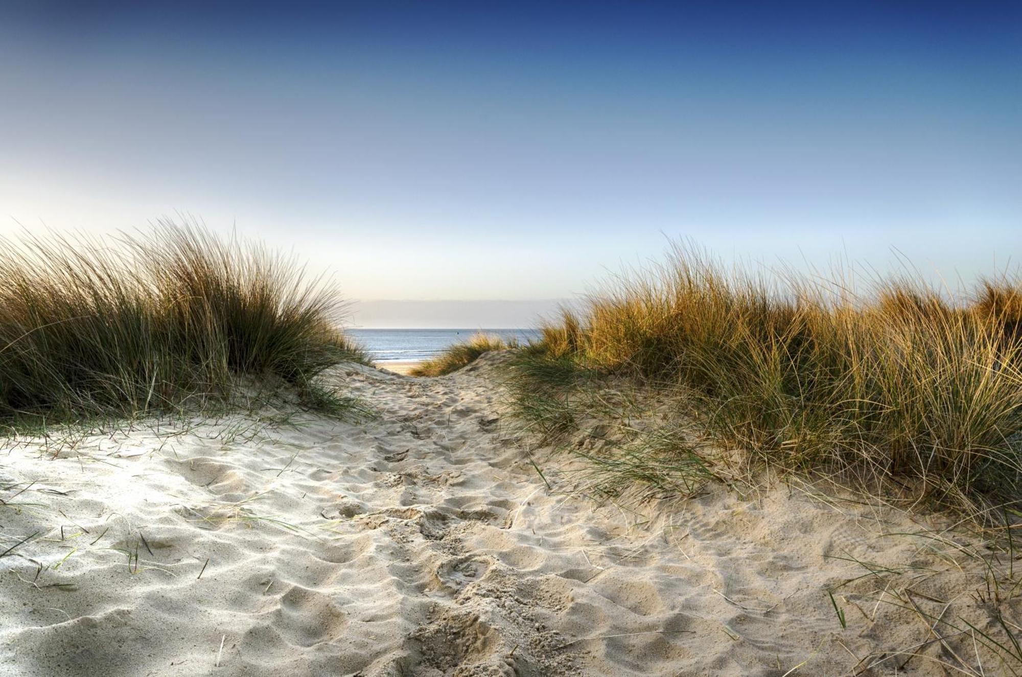 The Annex: Beachfront Luxury With Pet-friendly Patio * Bournemouth