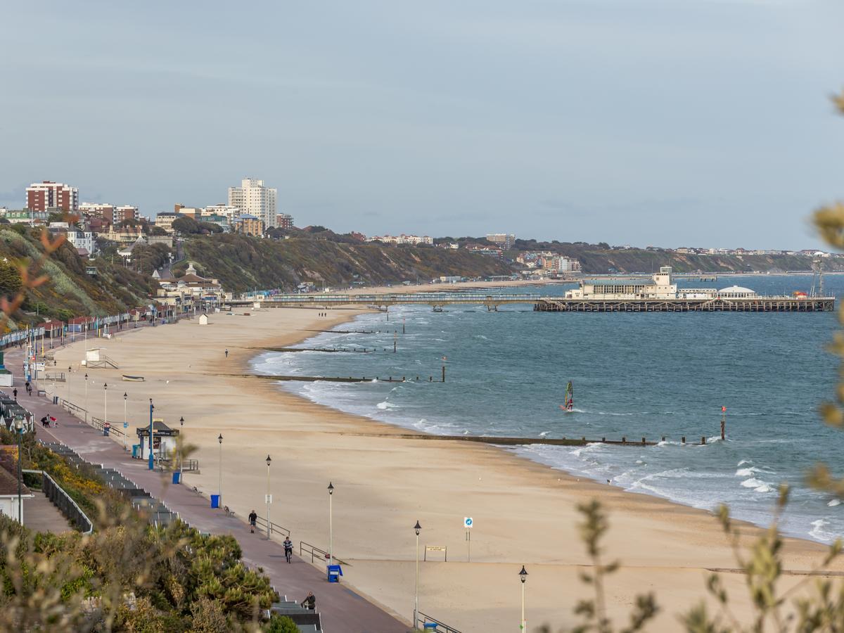 Osprey * Bournemouth