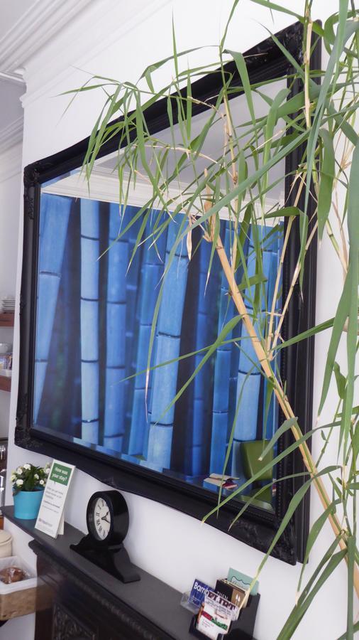 Bamboo