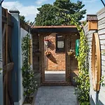 Bambuddha - The Cabin