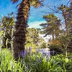 Bournecoast - Clifftop Apartment With Garden -Fm827