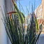 Bournemouth Town Centre 2 Bedroom Apartment, 5 Minutes Walk To The Beach, Sleeps Up To 6