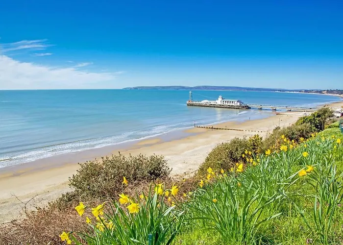 Bournecoast: Lovely Annex With Patio Nr Beach-5286
