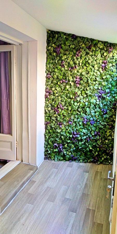 Spacious One Bed With Hot Tub And Garden Bournemouth