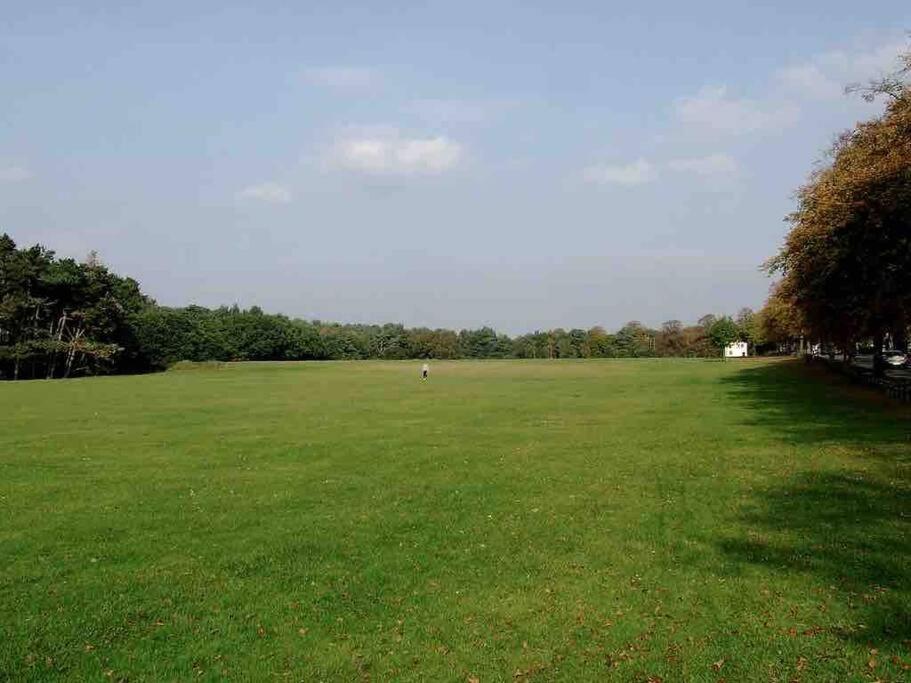 Spacious 4 Bed Rooms, Parking, Garden And Near Parks, Beaches And *