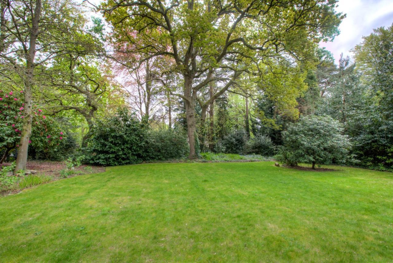 Luxury 3 Bedroom Close To Beach, & Meyrick Park