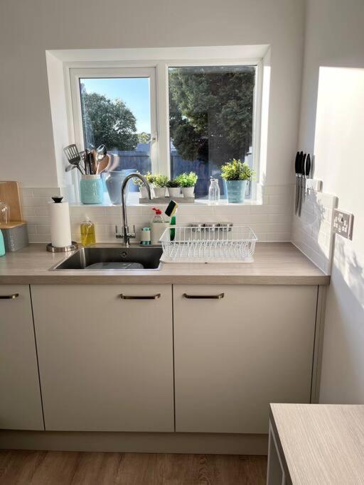 With Garden, Close To New Forest Holiday home *