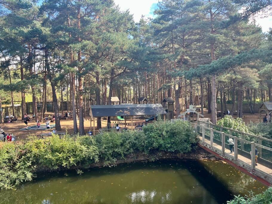 With Garden, Close To New Forest
