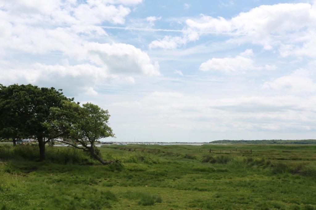 Holiday home Bournecoast - Stunning View Of Nature Reserve - Hb5901 *