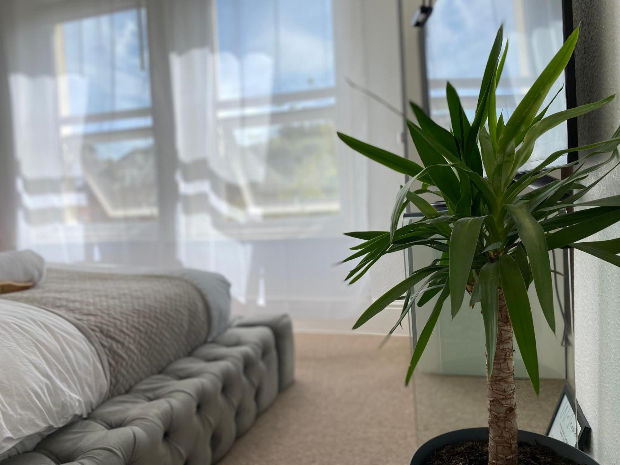 5 Min From The Beach En In