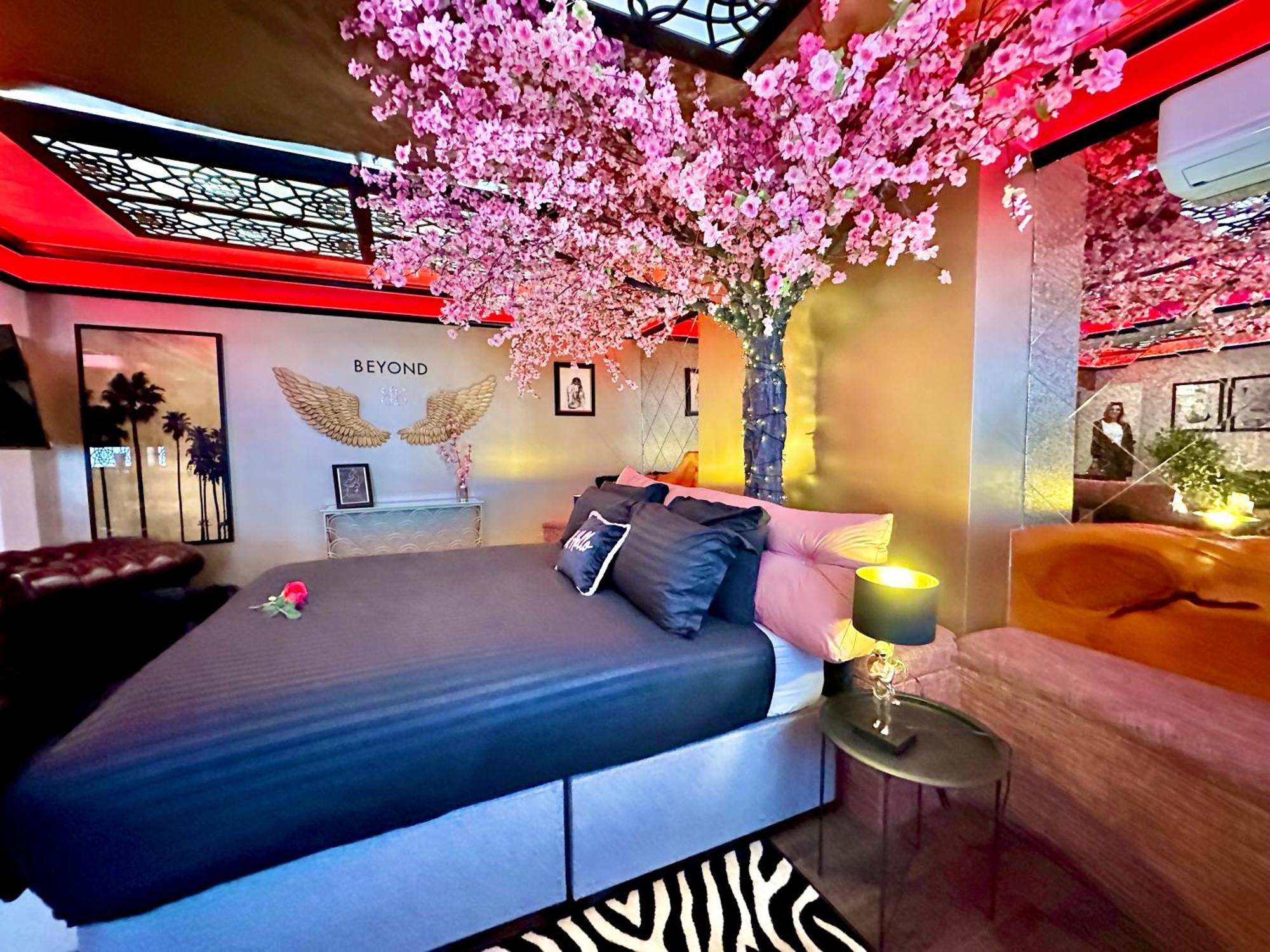 Apartment Beyond - Romantic Basement - Close To - With Parking