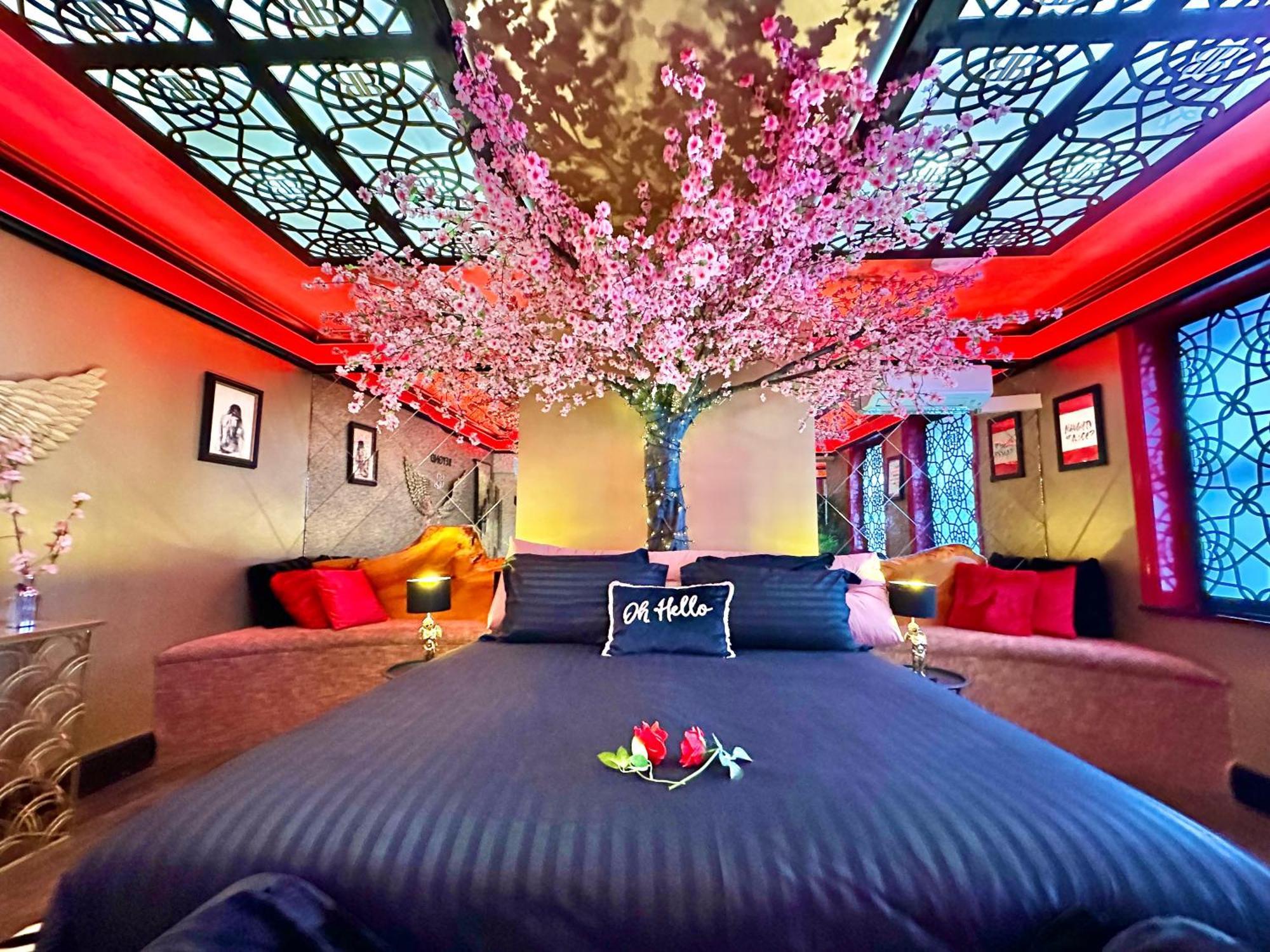 Beyond - Romantic Basement - Close To - With Parking