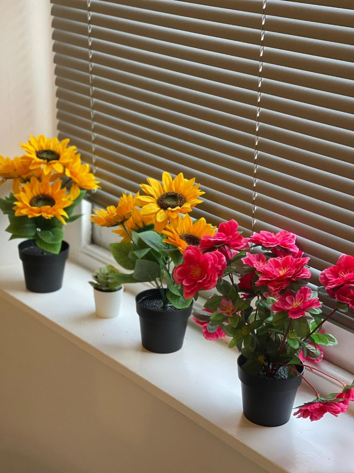 Luxury,location And Convenience F3 Apartment Bournemouth