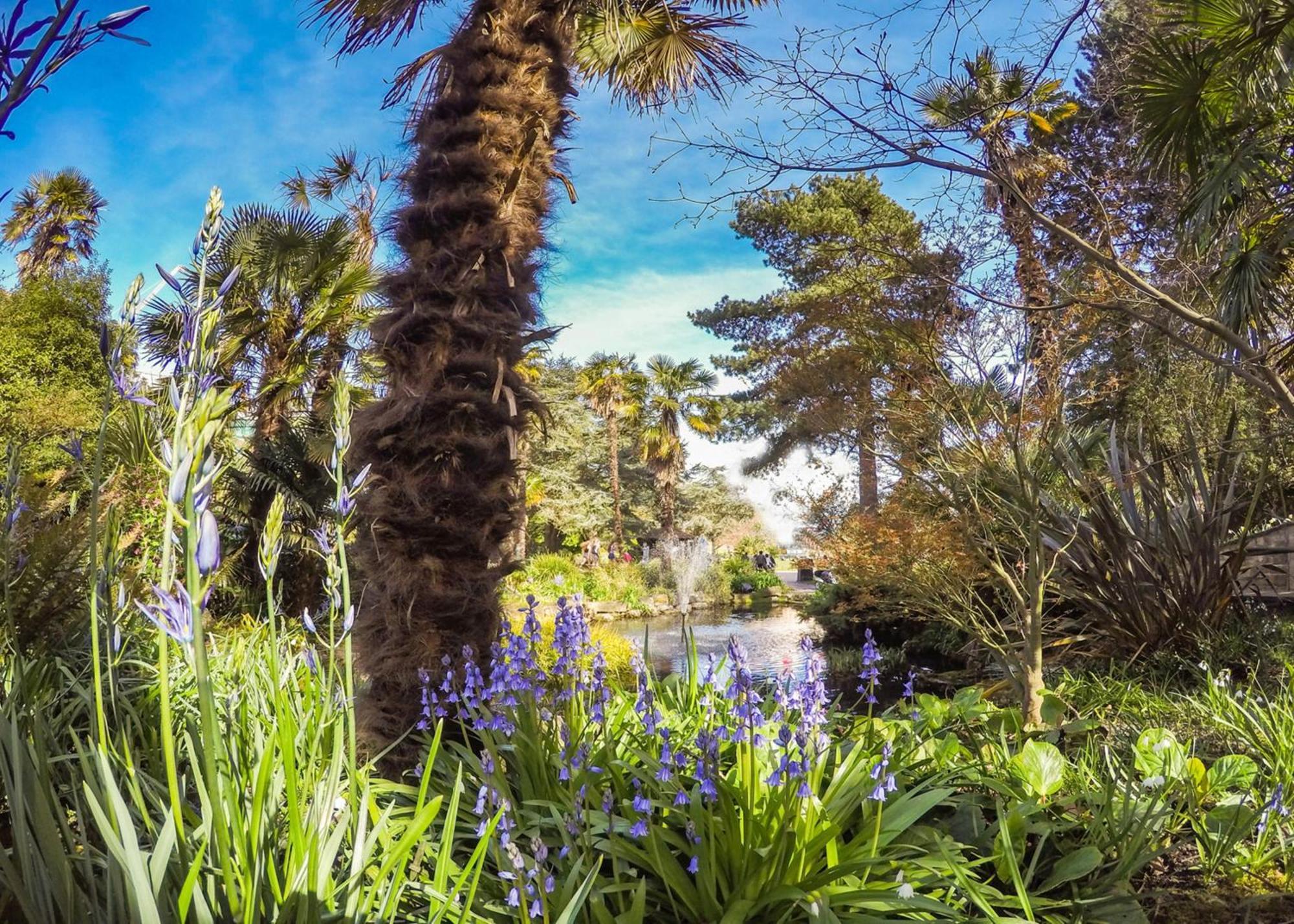 Bournecoast - Clifftop With Garden -fm827