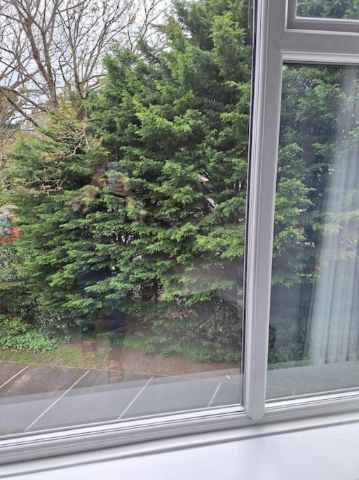 Apartment 1 Bedroom In Bournemouth, Free Parking Bournemouth