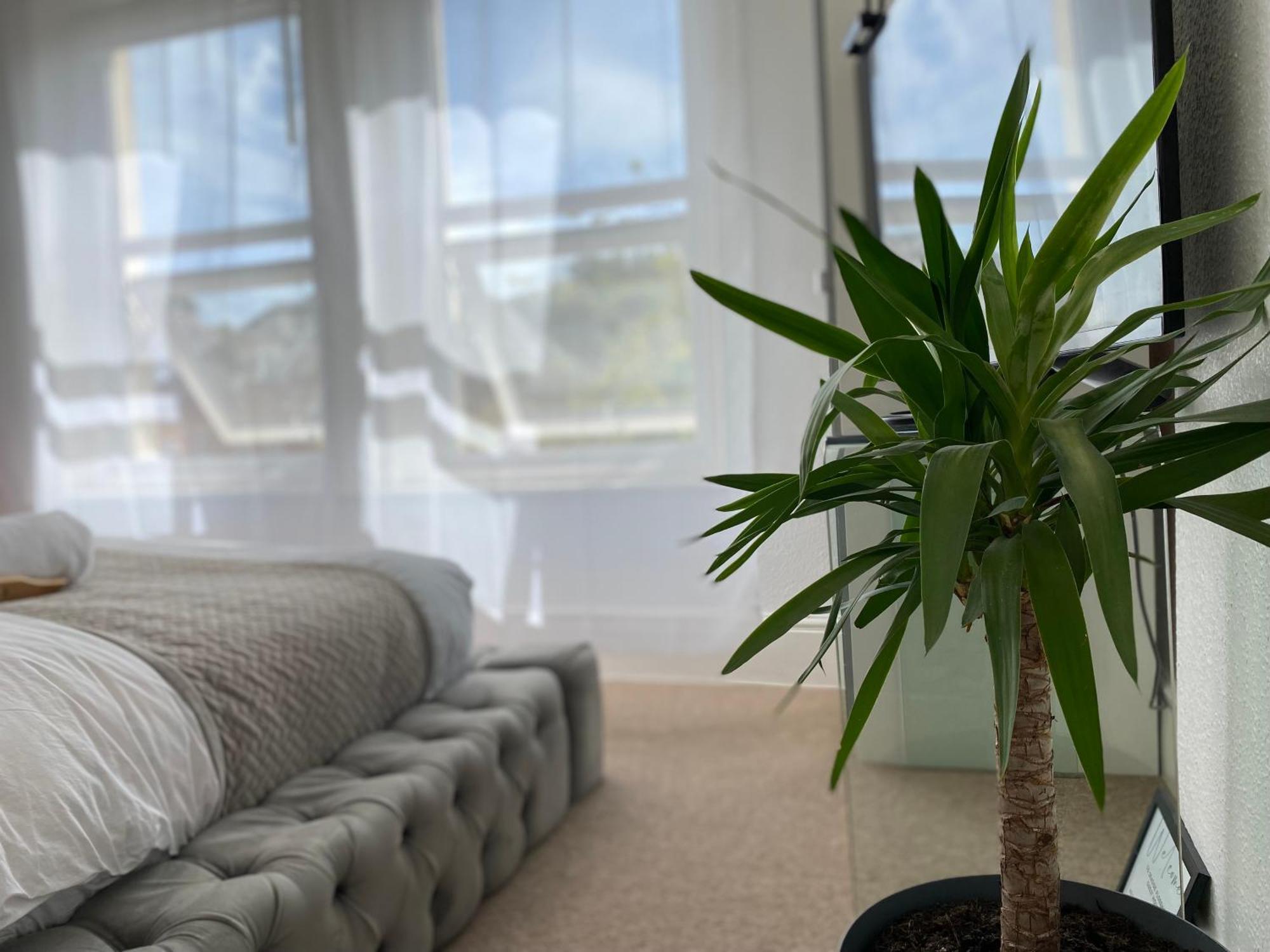 Seaside Florence 5 Min From Parking * Bournemouth
