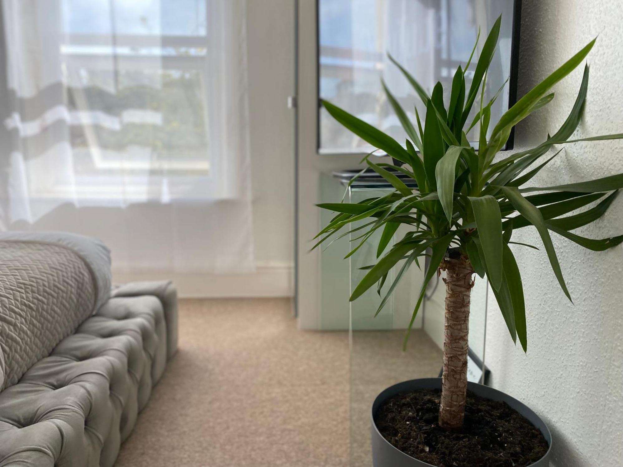 Seaside 5 Min From Ensuite Parking Homestay *