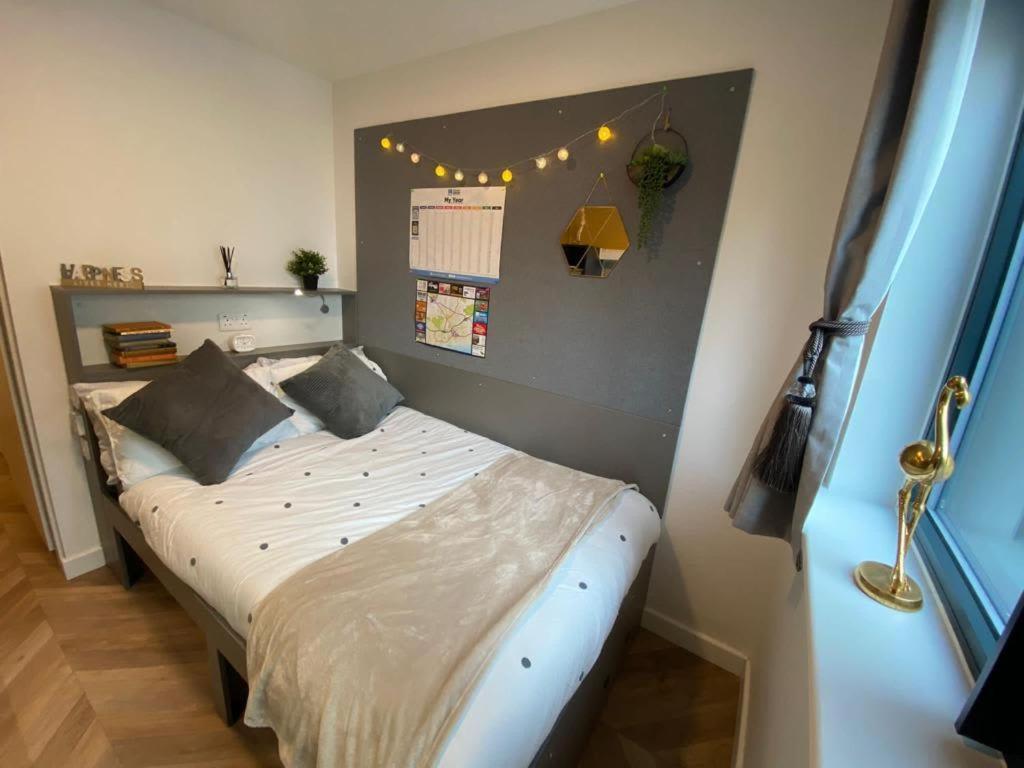 Serene Private Ensuites For Students Only In Belaton House At Apartment Bournemouth