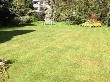 The Wood Hotel Bournemouth