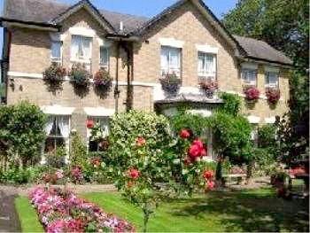 The Wood Hotel 3*