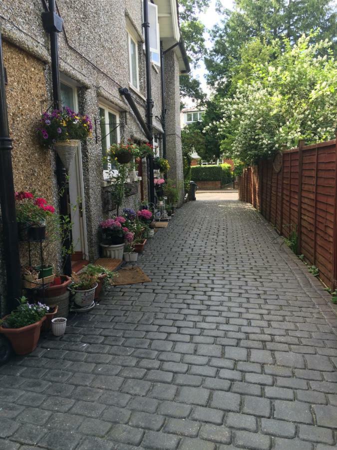 Amazing Luxury Executive Flat & Option