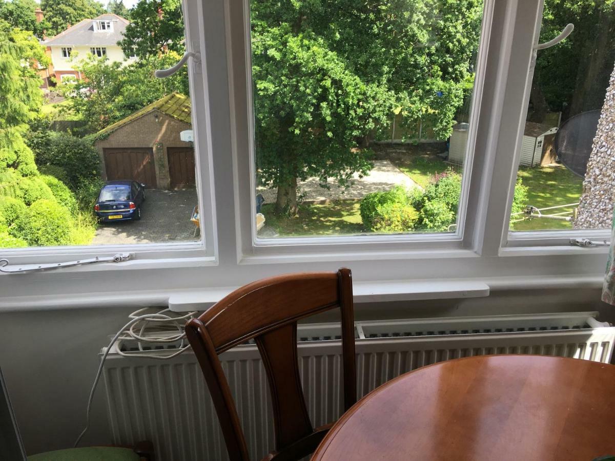 Amazing Luxury Executive Flat & Option