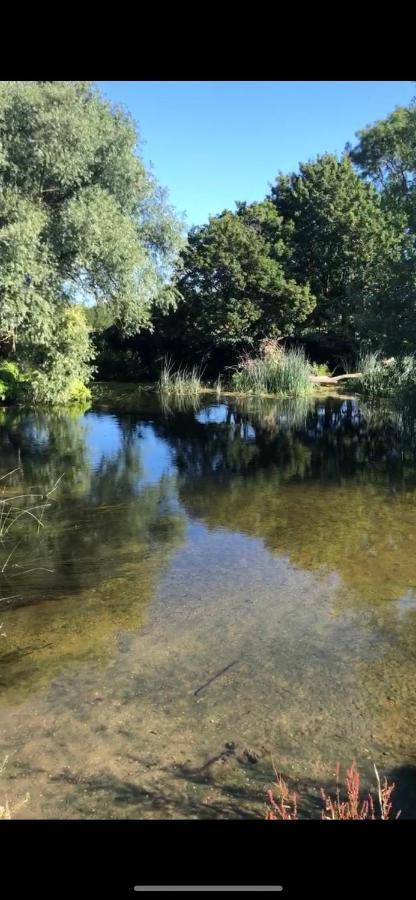 Grade 2 Listed Barn On The Edge Of And The New Forest Bournemouth