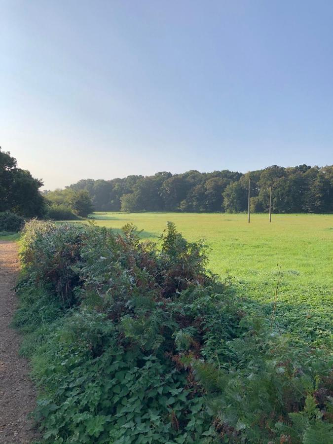 Grade 2 Listed Barn On The Edge Of And The New Forest Holiday home *
