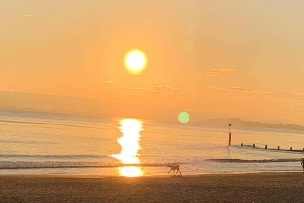 Apartment Nr Town Train Coach Shops Lovely Entire Allows Quiet Good Dogs Bournemouth
