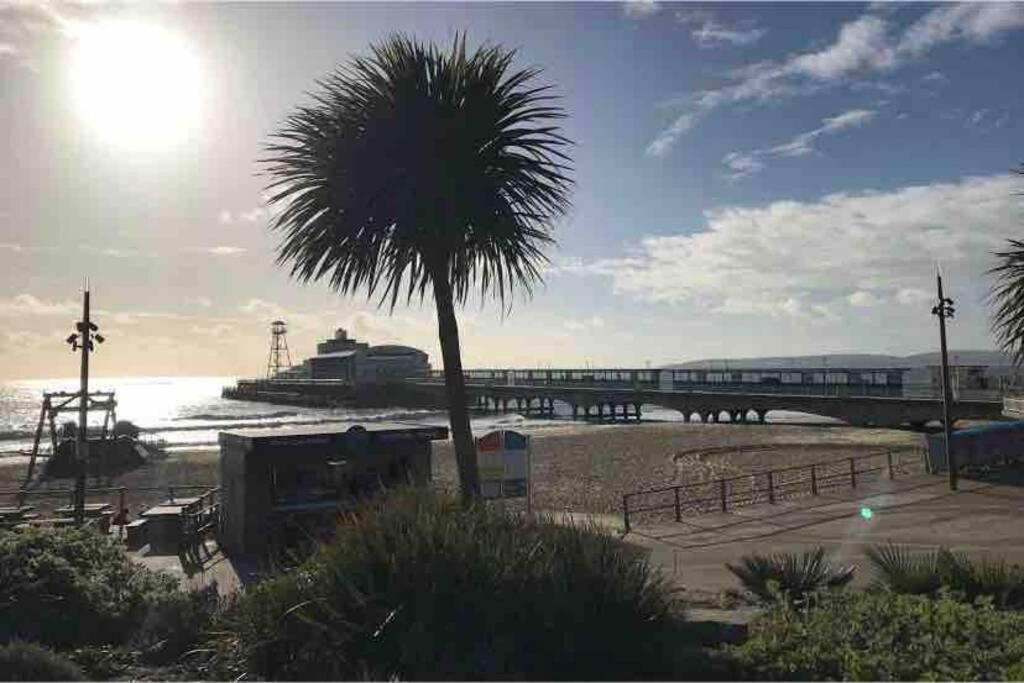 Nr Town Train Coach Shops Lovely Entire Allows Quiet Good Dogs Apartment Bournemouth