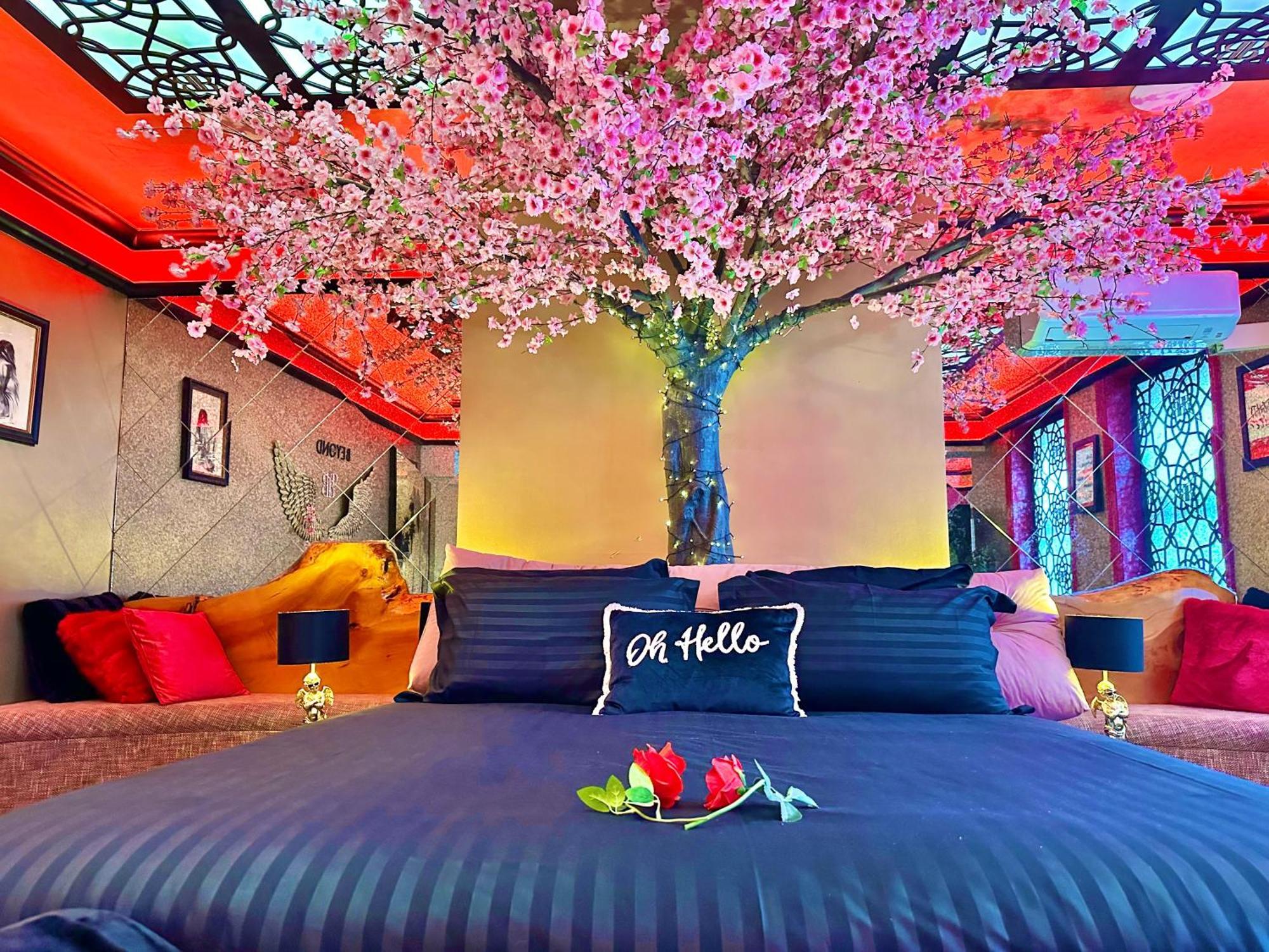 Apartment Beyond - Romantic Basement - Close To - With Parking