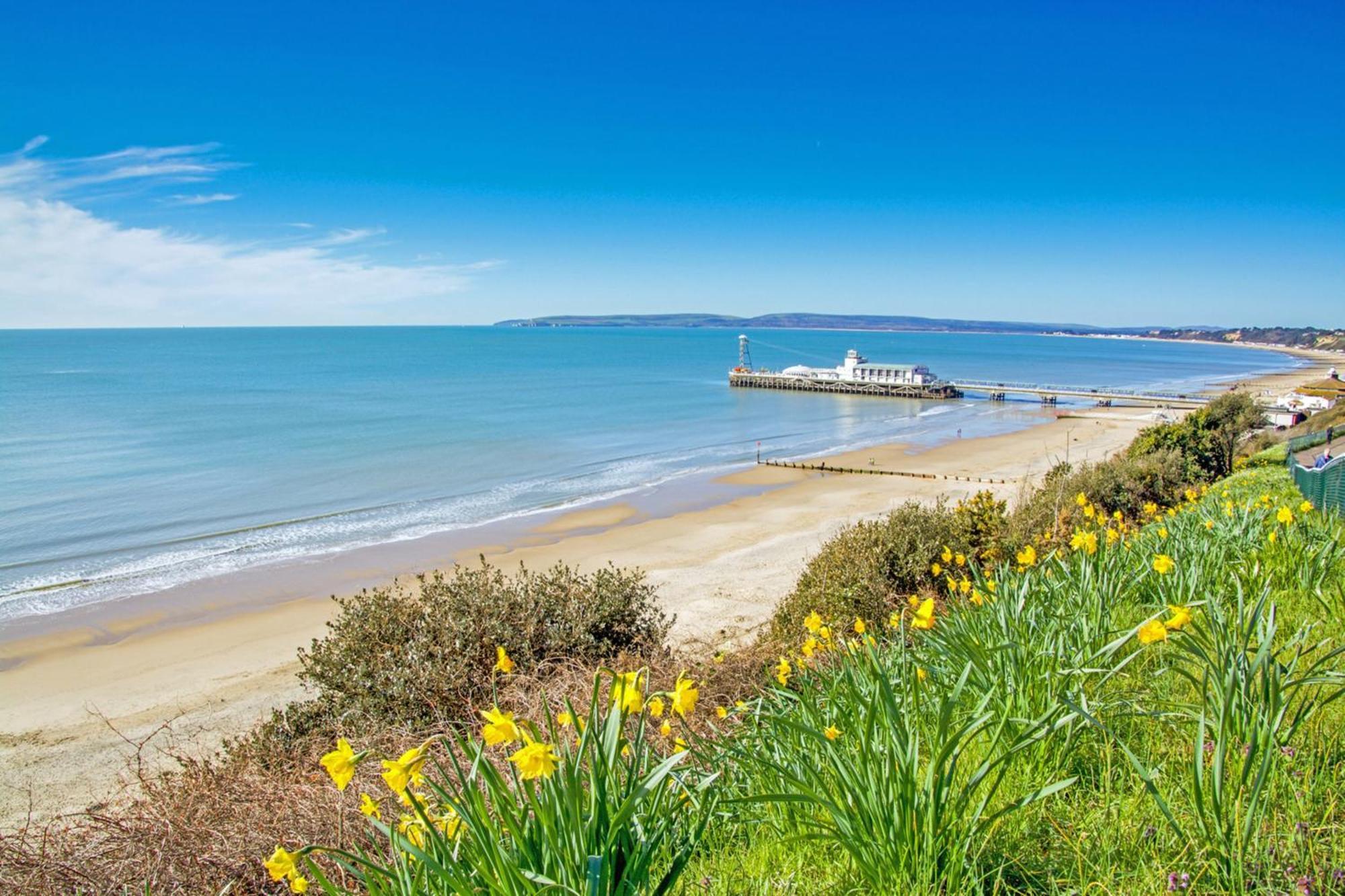 Bournecoast: Pet Friendly Flat With Garden - Fm667