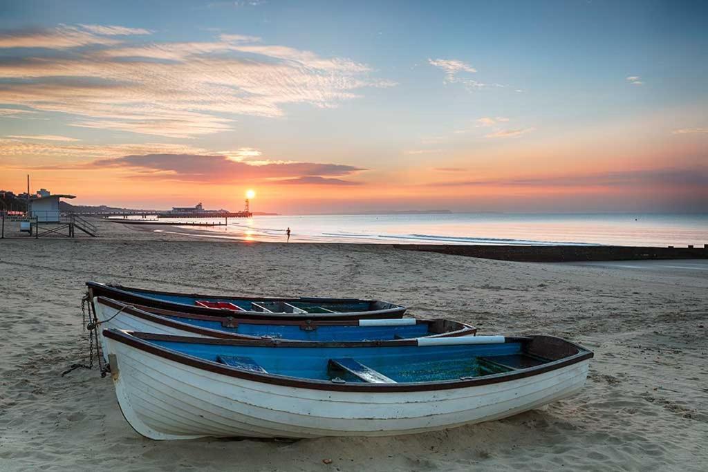 Brand New -coastal Breeze 1-bedroom In With Free Parking- Sleeps 4 Ppl- Internet
