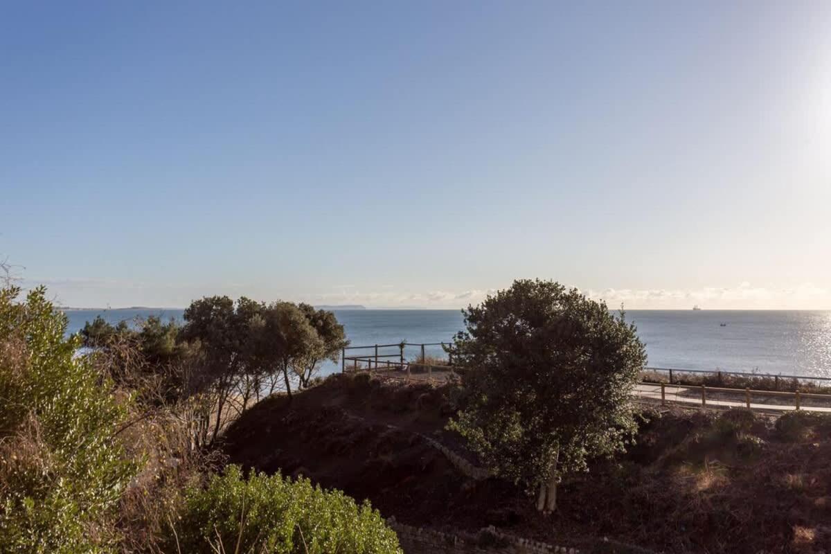 Osprey Bournemouth