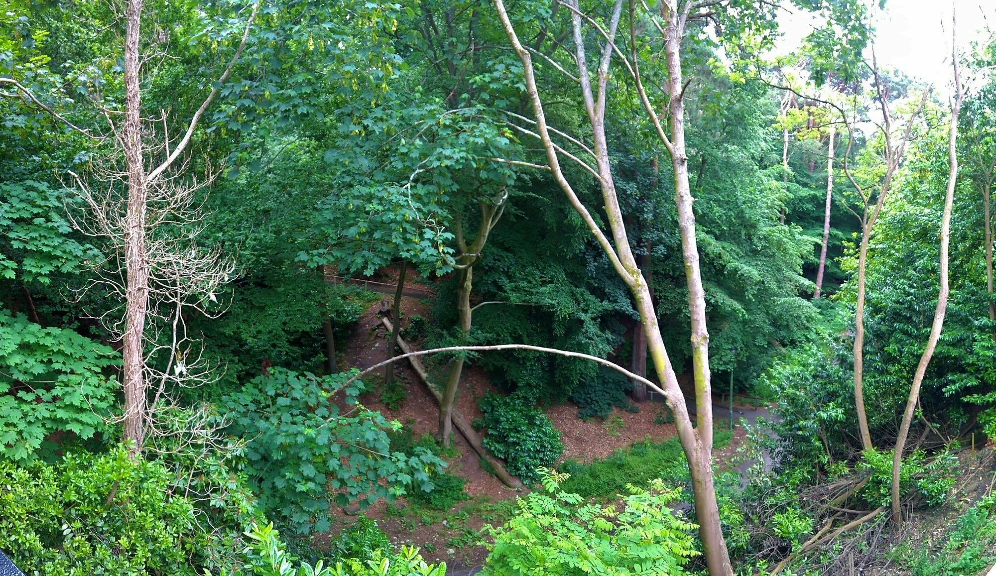 Alum Chine Log 3* Bournemouth